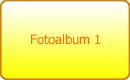 Fotoalbum 1