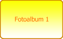 Fotoalbum 1